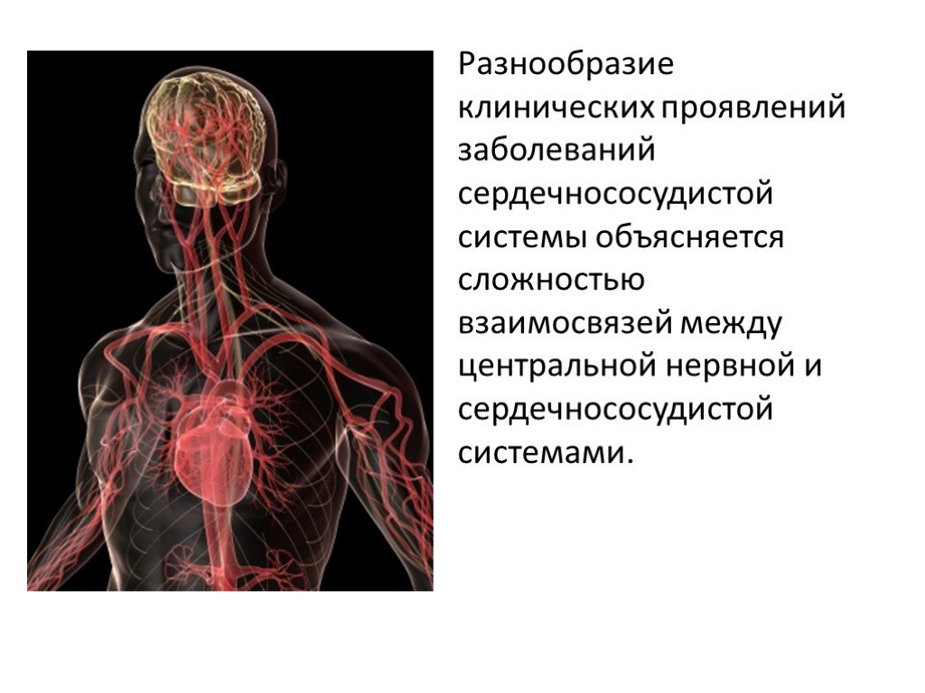 Сердечно сосудистый нервный центр. Заболевания нервной системы. Нервная сердечно сосудистая система. Заболевания центральной нервной системы. Кровеносная и нервная система человека.