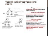 Обнаружены гены-супрессоры опухолей, регулируют работу апоптоза Белок р53 контролирует активность протоонкогенов, разрешать им работать только в строго определенные периоды жизни клетки Онкогены способны связывать белок р53, репрессировать его, что ведет к освобождению клеточных протоонковирусов, от