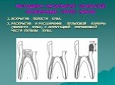 2. ВСКРЫТИЕ ПОЛОСТИ ЗУБА. 3. РАСКРЫТИЕ И РАСШИРЕНИЕ ПУЛЬПОВОЙ КАМЕРЫ (ПОЛОСТИ ЗУБА) С АМПУТАЦИЕЙ КОРОНКОВОЙ ЧАСТИ ПУЛЬПЫ ЗУБА.