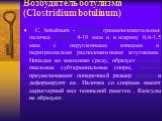 Возбудитель ботулизма (Clostridium botulinum). C. botulinum - большая граммположительная палочка длиной 4-10 мкм и в ширину 0,6-1,5 мкм с округленными концами и перитрихиально расположенными жгутиками. Попадая во внешнюю среду, образует большие овальные субтерминальные споры, которые преувеличивают 