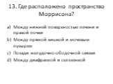 13. Где расположено пространство Моррисона? Между нижней поверхностью печени и правой почки Между прямой кишкой и мочевым пузырем Позади желудочно-ободочной связки Между диафрагмой и селезенкой