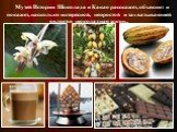 Музей Истории Шоколада и Какао расскажет, объяснит и покажет, насколько интересной, непростой и захватывающей является шоколадная жизнь.