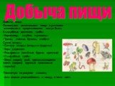 Добыча пищи Основными источниками пищи в условиях автономного существования могут быть: Съедобные растения, грибы • Корневища, клубни. луковицы • Травы, листья, бутоны, стебли Сухие плоды • Сочные плоды (ягоды и фрукты) • Кора деревьев • Водоросли (зелёные, бурые, красные) • Съедобные грибы • Мясо з