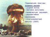 Поражающие факторы ядерного оружия: - ударная волна; - световое излучение; - проникающая радиация; - радиоактивное загрязнение; - электромагнитный импульс (ЭМИ).
