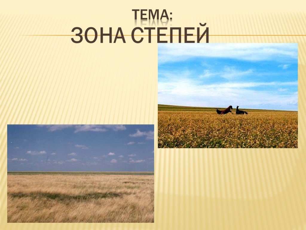 Зона степей 4 класс окружающий. Зона степей 4 класс. Проект степь. Зона степей презентация. Проект зона степей.