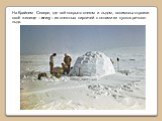 На Крайнем Севере, где всё покрыто снегом и льдом, эскимосы строили своё жилище – иглу – из снежных кирпичей с окнами из кусков речного льда.