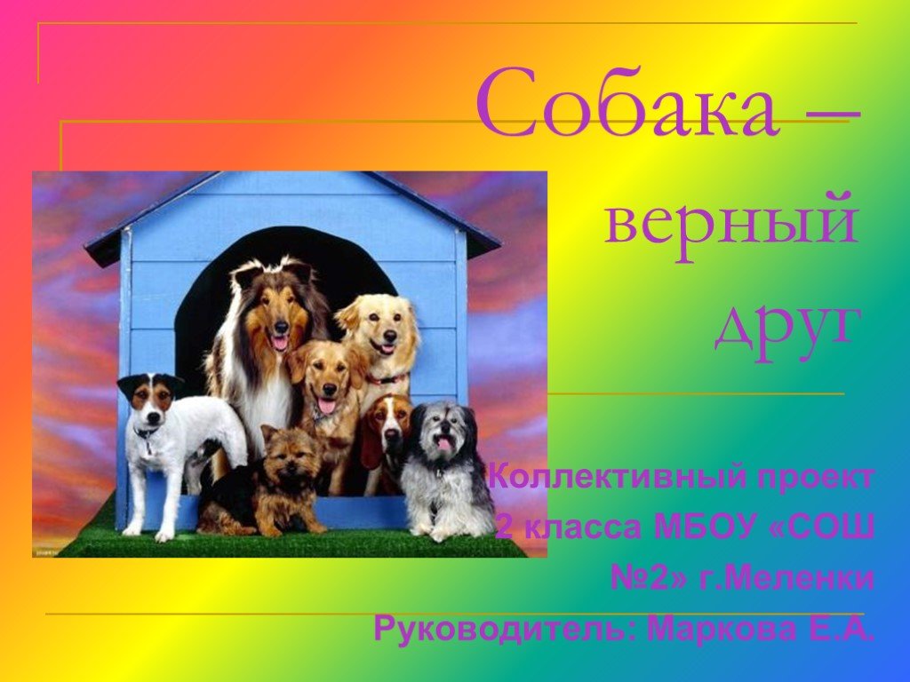 Собака - друг человека - презентация для начальной школы