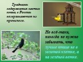 Традиции содержания певчих птиц в России возвращаются из прошлого. Но всё-таки, никогда не нужно забывать, что лучше птице не в золотой клетке, а на зелёной ветке.