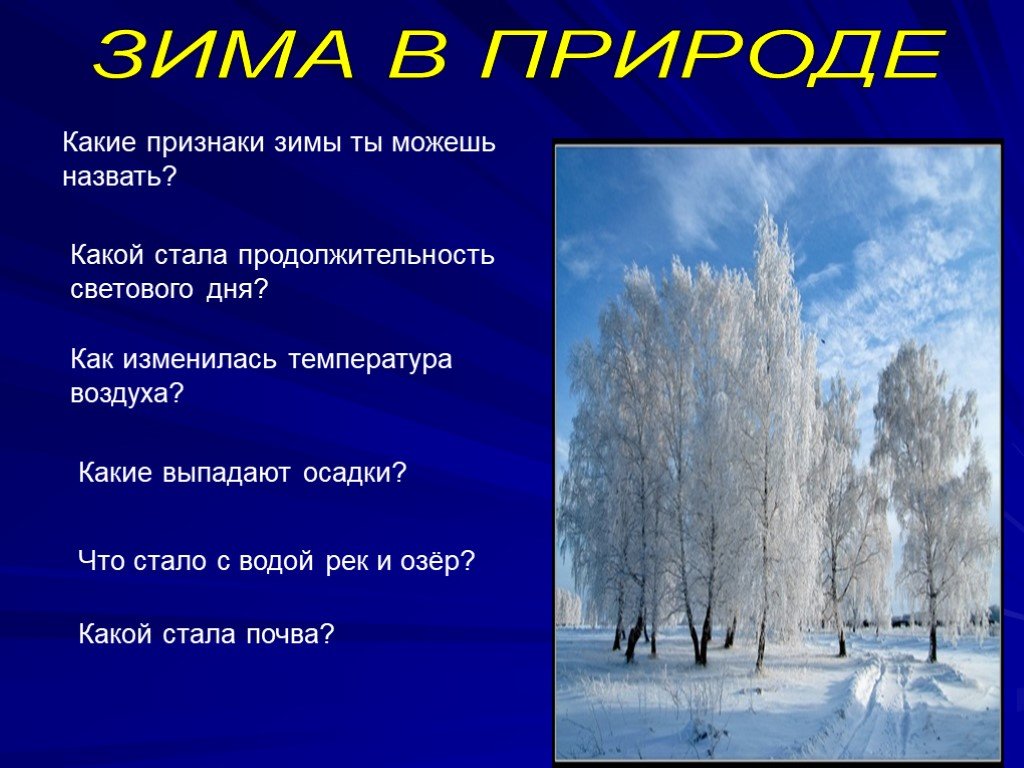 Изменения природы в декабре. Зима изменения в природе. Презентация зима. Признаки зимы. Зимние признаки в природе.