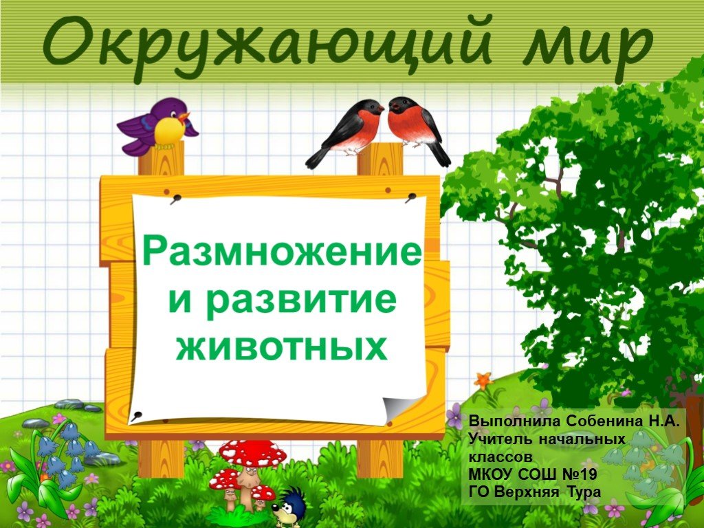 Презентации пановой 2 класс по окружающему миру