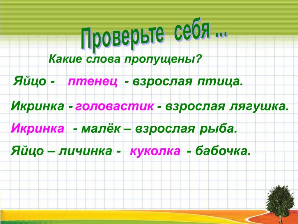 Какое слово пропущено яйцо личинка куколка. Какое слово проаущеео: икринка-... Взрослая рыбам. Какое слово пропущено икринка. Какое слово пропущено икринка взрослая рыба личинка малек головастик. Какое слово пропущено икринка взрослая.