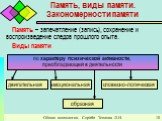 Память, виды памяти. Закономерности памяти. Память – запечатление (запись), сохранение и воспроизведение следов прошлого опыта. Виды памяти. по характеру психической активности, преобладающей в деятельности. двигательная эмоциональная образная. словесно-логическая