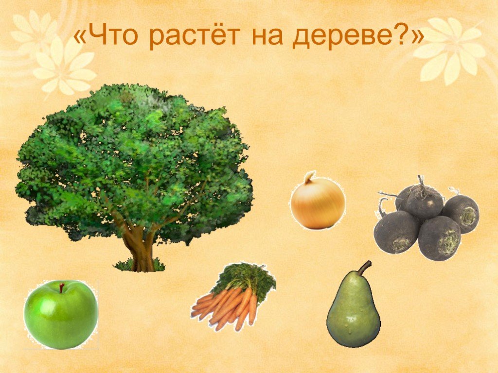 Тема урока фрукты. Растущее дерево. Фрукты растущие на деревьях для детей. Игра что растет на дереве. Где растут фрукты для детей.