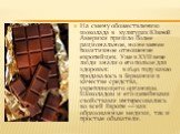 На смену обожествлению шоколада в культурах Южной Америки пришло более рациональное, но не менее позитивное отношение европейцев. Уже в XVII веке люди знали о его пользе для здоровья: в 1640 году какао продавалось в Германии в качестве средства, укрепляющего организм. Шоколадом и его целебными свойс