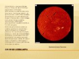 Хромосфера — внешняя оболочка Солнца толщиной около 10 000 км, окружающая фотосферу. Происхождение названия этой части солнечной атмосферы связано с её красноватым цветом. Верхняя граница хромосферы не имеет выраженной гладкой поверхности, из неё постоянно происходят горячие выбросы. Температура хро