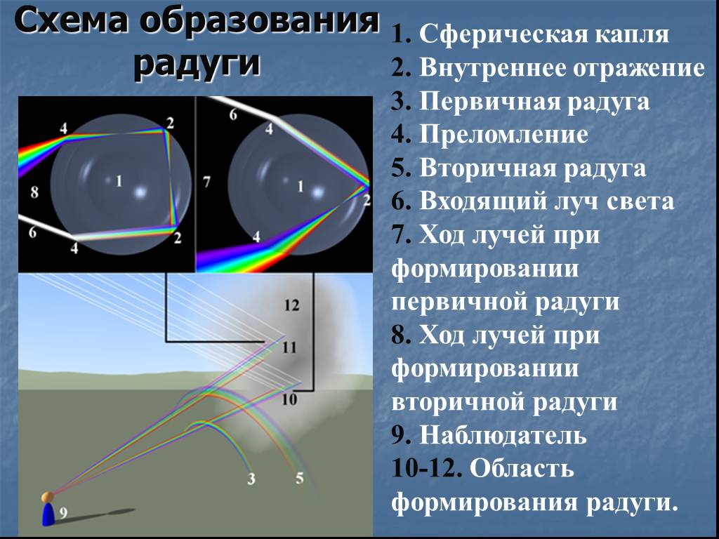 Оптика проект по физике