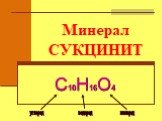 Минерал СУКЦИНИТ С10Н16О4 углерод водород кислород