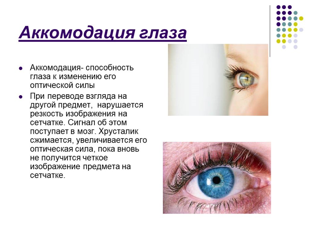 Зрение двумя глазами называют. Аккомодация глаза. Аккомодация это способность глаза. Аккомотодивная способность глаз. Аккомодационные структуры глаза.