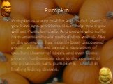 Pumpkin. Pumpkin is a very healthy and useful plant. If you have eyes problems it can help you if you will eat Pumpkin daily. And people who suffer from anemia should make dishes with it. Also in the pumpkin has recently been discovered pectin, which have earned a reputation of excellent cleaner of 