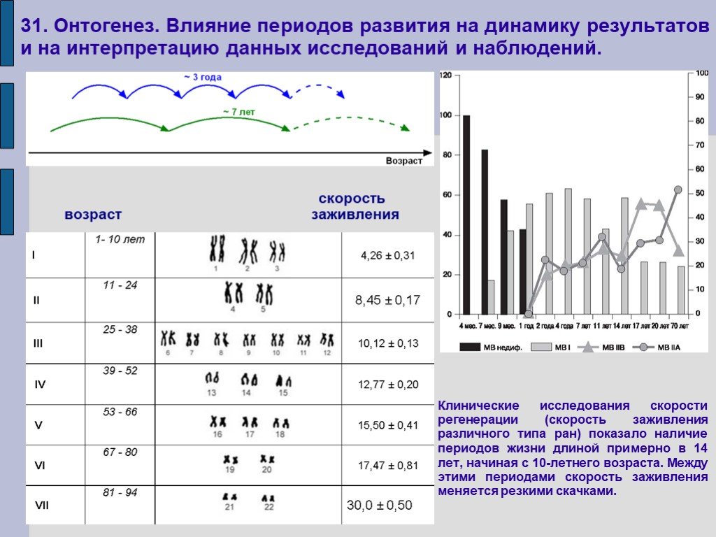 Наличие периода. Интерпретация данных наблюдений. Упражнения на интерпретацию информации. Скорость регенерации.