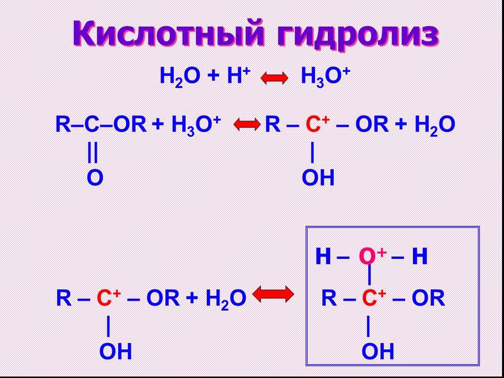 Гидролиз белка схема