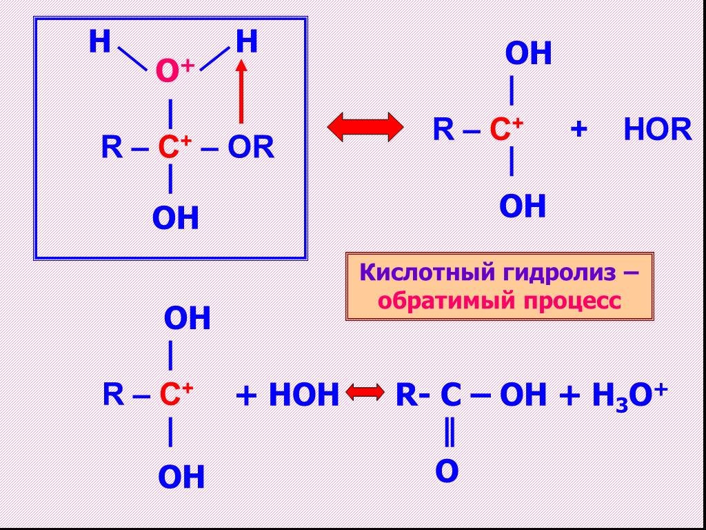 Гидролиз белка схема