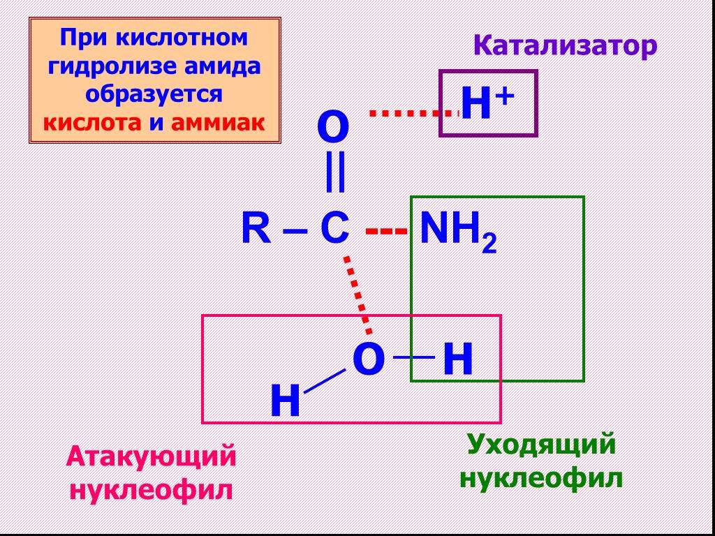 При кислотном гидролизе образуются. Гидролиз амидов карбоновых кислот. Гидролиз амидов аммиак. Как образуются кислоты в химии. Гидролиз производных карбоновых кислот.