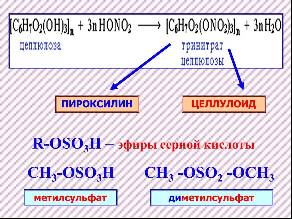 Из какого полимера получают целлулоид