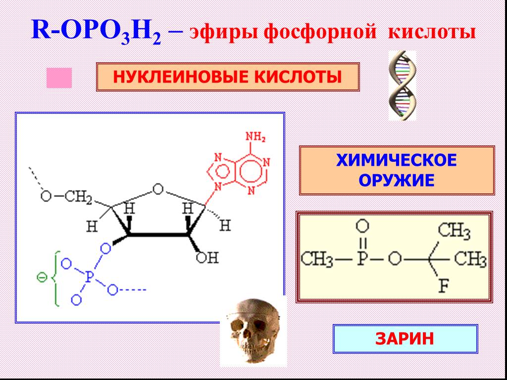 Презентация функциональные производные карбоновых кислот