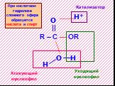 R – C --- OR || H+ Катализатор. Уходящий нуклеофил. Атакующий нуклеофил. При кислотном гидролизе сложного эфира образуется кислота и спирт
