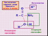 R – C --- NH2. При кислотном гидролизе амида образуется кислота и аммиак