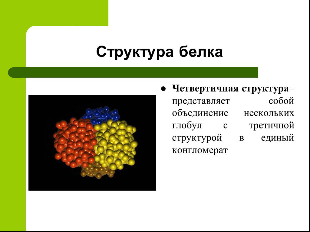 Презентация на тему белки по химии