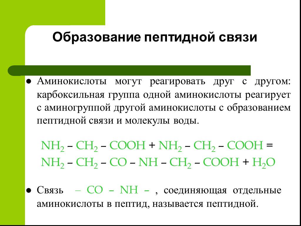 Молекула содержащая пептидные связи