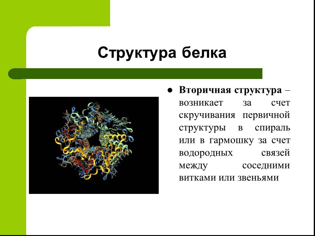 Проект по химии на тему белки