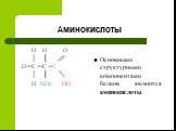 Аминокислоты H H O H C C C H NH2 OH. Основными структурными компонентами белков являются аминокислоты.