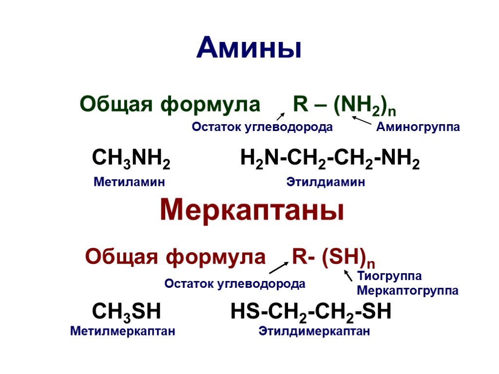Гидроксид метиламин хлорид метиламин