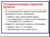 Устанавливается единый экономический критерий успеха. Например: прибыль через определенный период, срок завершения и стоимость дня опережения и опоздания (по отдельности). Задается критерий неудачи. Например: прибыль через тот же период, Максимальный допустимый убыток.