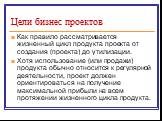 Как правило рассматривается жизненный цикл продукта проекта от создания (проекта) до утилизации. Хотя использование (или продажи) продукта обычно относится к регулярной деятельности, проект должен ориентироваться на получение максимальной прибыли на всем протяжении жизненного цикла продукта.