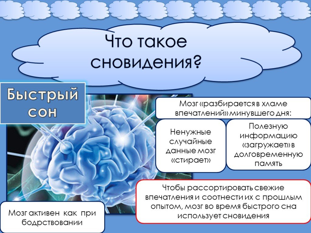 Активность мозга во сне. Сновидения мозг. Головной мозг и сон. Мозг во время сна.