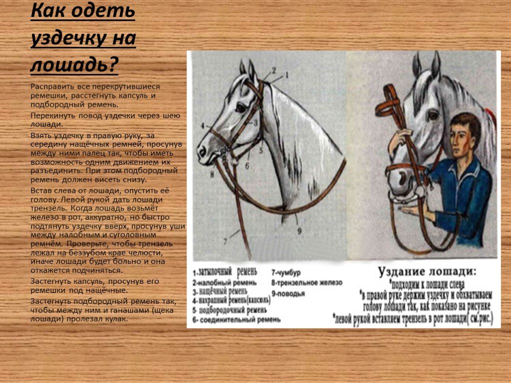 Инструкции коне