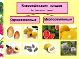 Классификация плодов. (по количеству семян). Односемянные Многосемянные