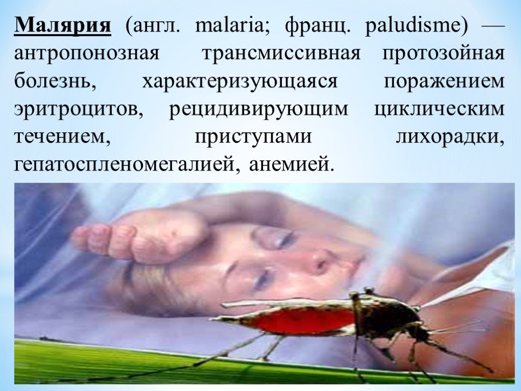Малярия является заболеванием человека. Трансмиссивные инфекционные болезни малярия. Малярия этиология возбудителей. Малярия симптомы и профилактика. Малярия заболевание человека.