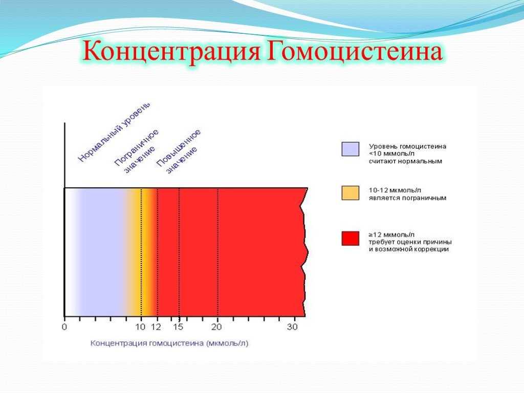 Гомоцистеин норма у мужчин