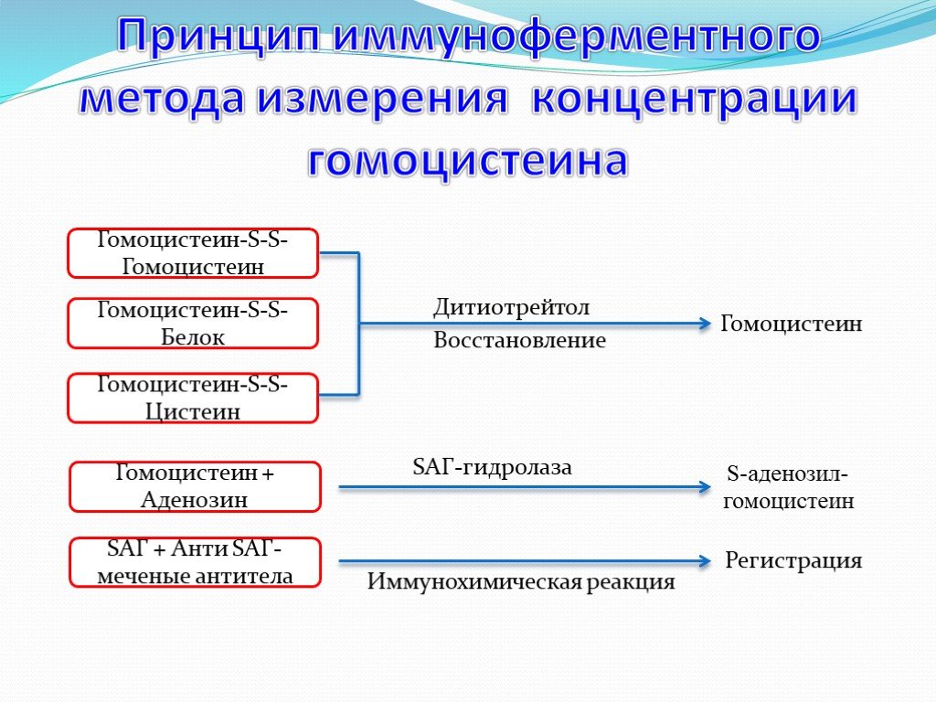 Гемоцистеин. Гомоцистеин. Гомоцистеин концентрация. Методы определения гомоцистеина. Гомоцистеин 7.