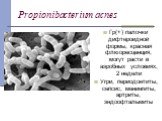 Propionibacterium acnes. Гр(+) палочки дифтероидной формы, красная флюоресценция, могут расти в аэробных условиях, 2 недели Угри, периодонтиты, сепсис, менингиты, артриты, эндоофтальмиты