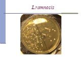 L.ramnosis