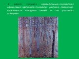 В работе Г.Климта орнаментально-плоскостная организация картинной плоскости, усиление лаконизма, пластичности контурных линий за счет условного освещения.