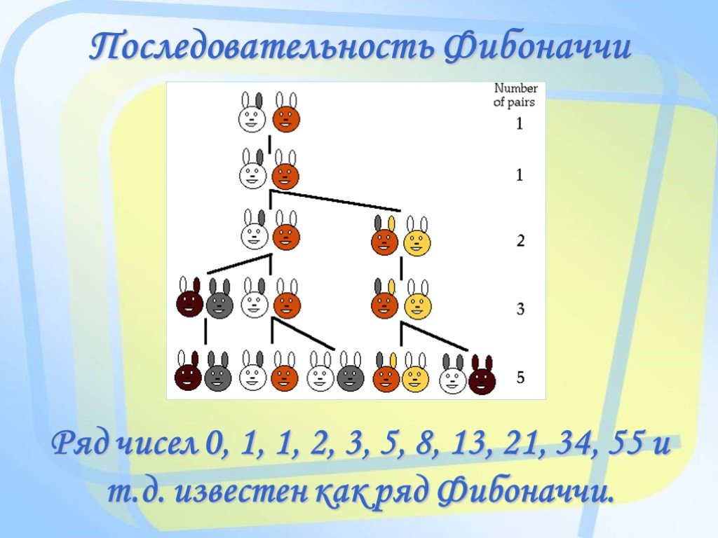 Ряд фибоначчи. 1 1 2 3 5 8 13 Ряд Фибоначчи. Последовательность Фибоначчи. Числа Фибоначчи картинки. Числа Фибоначчи пирамида.