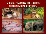 6 день: «Домашние и дикие животные по роду их».