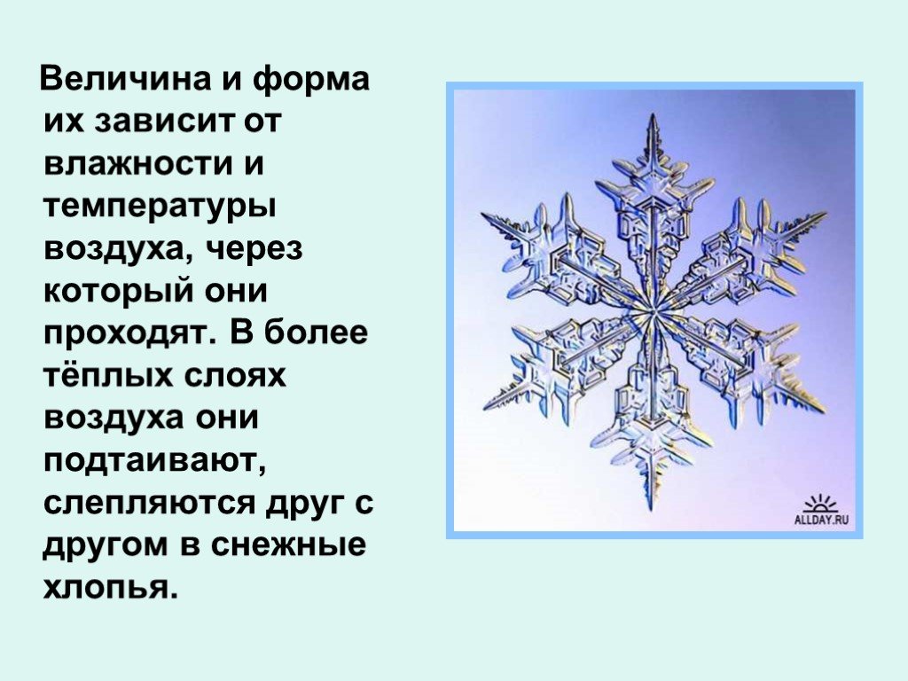 Более теплее. Сколько лучиков у снежинки. Сколько лучей у снежинки в природе. Сколько лучей у снежинки и почему. Сколько лучей бывает у снежинок.